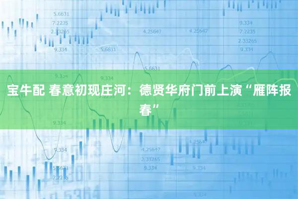 宝牛配 春意初现庄河：德贤华府门前上演“雁阵报春”