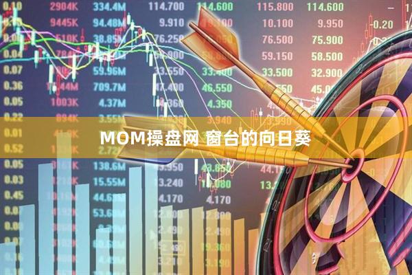 MOM操盘网 窗台的向日葵