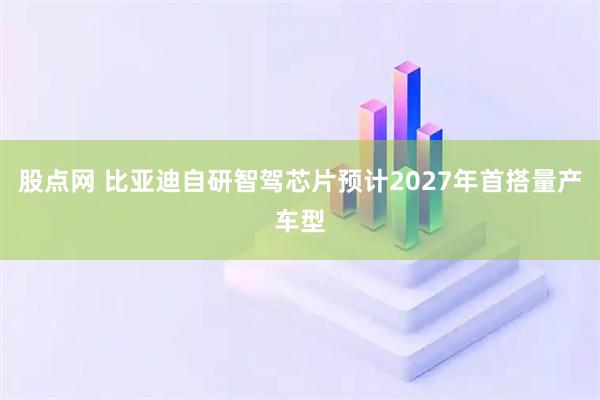 股点网 比亚迪自研智驾芯片预计2027年首搭量产车型