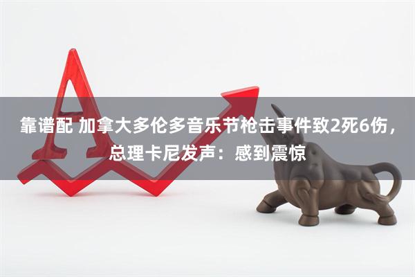 靠谱配 加拿大多伦多音乐节枪击事件致2死6伤，总理卡尼发声：感到震惊